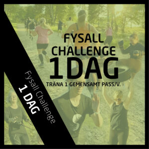 Gruppträning - Fysall Challenge - 1 dag i veckan