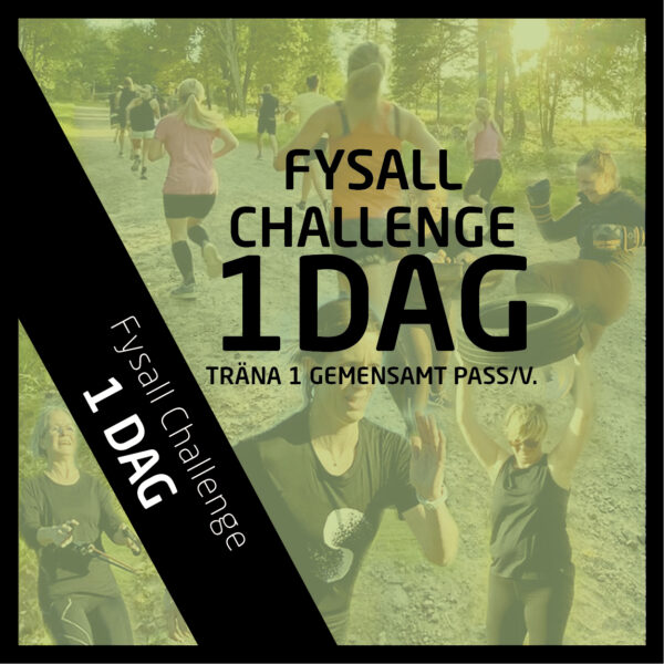 Gruppträning - Fysall Challenge - 1 dag i veckan