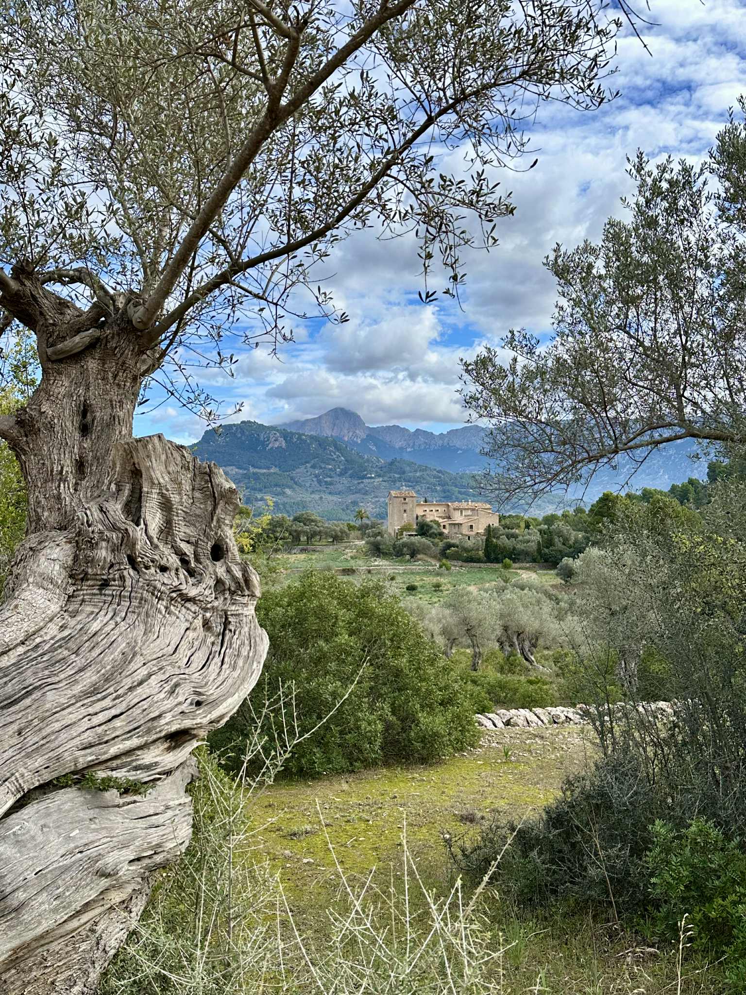 Tränings- och vandringsresa till Mallorca - Bild 4